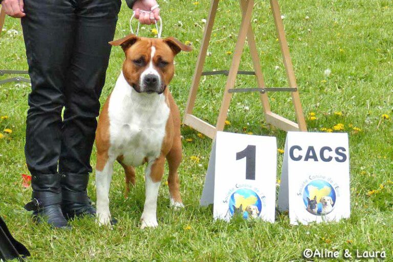 1-full-frame-de-la-maison-deste