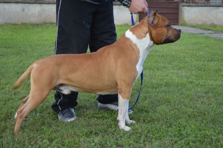 10939700_10204644867835043_1978205705_o