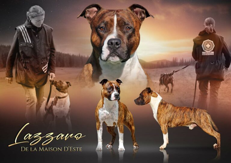 127098533_3853146758030175_7682968052001705832_o