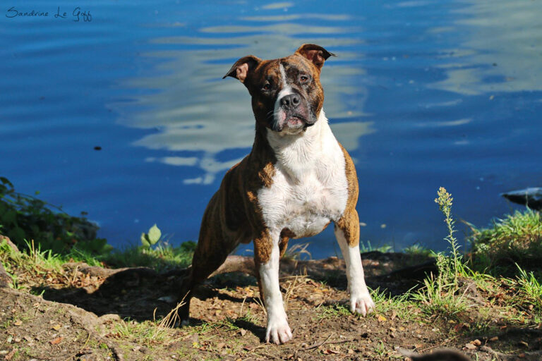 14409397_1324689374209272_8168204027178746292_o