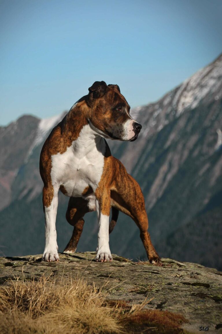 161780741_204499221450508_4270196767863632386_n-2