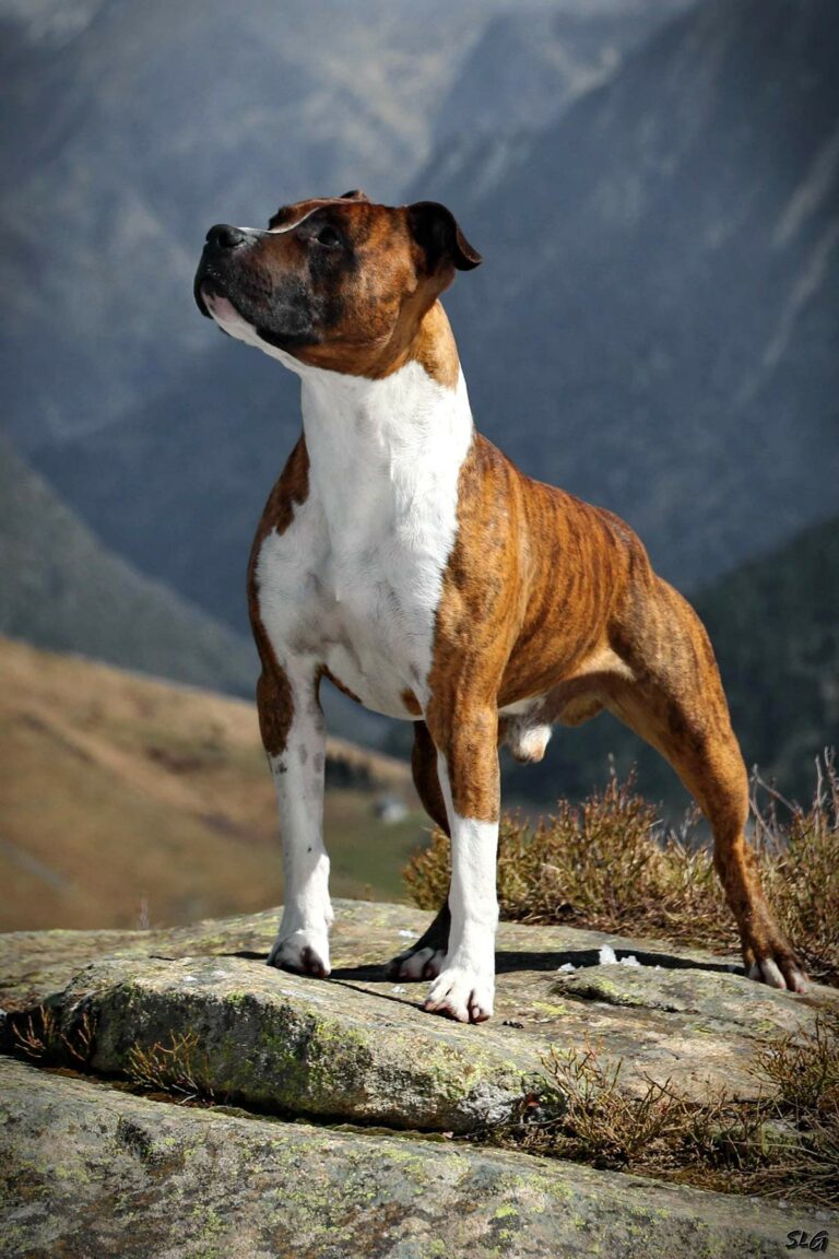 162435039_152514350061145_2355237048852032640_n