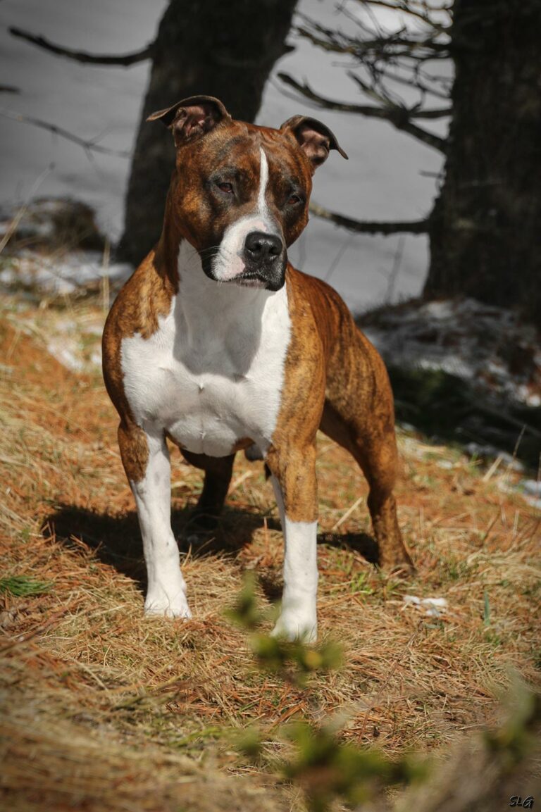 162439425_454653462525067_149700829679941028_n