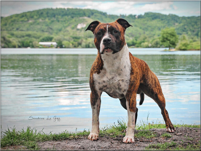 18556841_1578979978780209_1785384052371883772_o