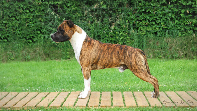 19055062_1600017503343123_4081161914188166217_o