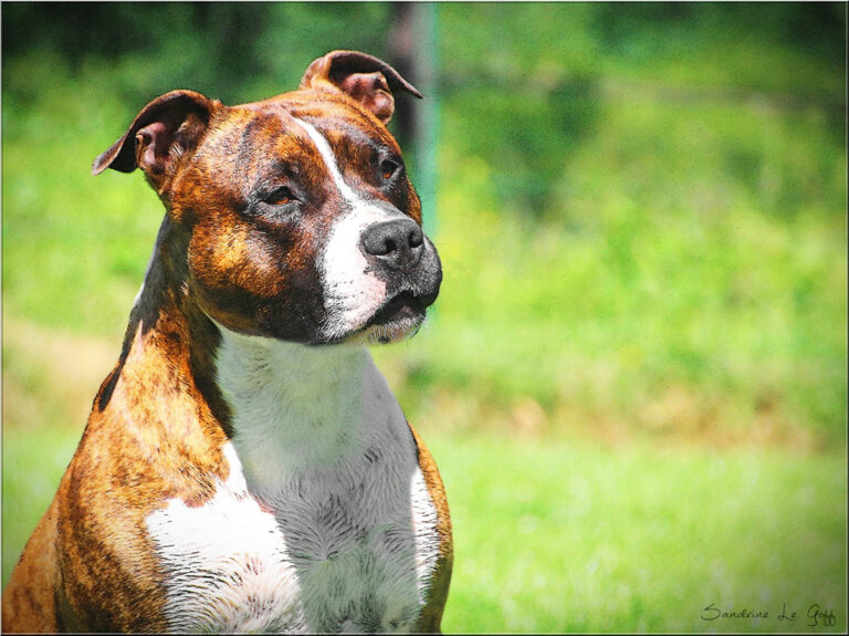 19143093_1601003516577855_4462798210425886562_o