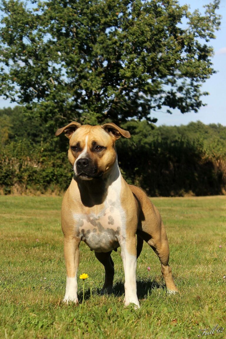 21015724_10212668771146863_3128497431606057462_o