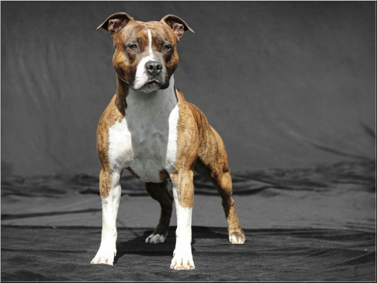 56242630_1149866385193899_3251992697858162688_o