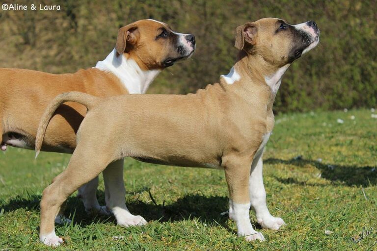 892660_10202963533121978_2041912591_o-1