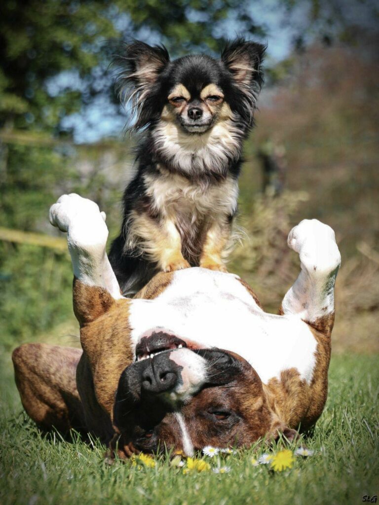 93813036_3207993532545504_9114695495816577024_n