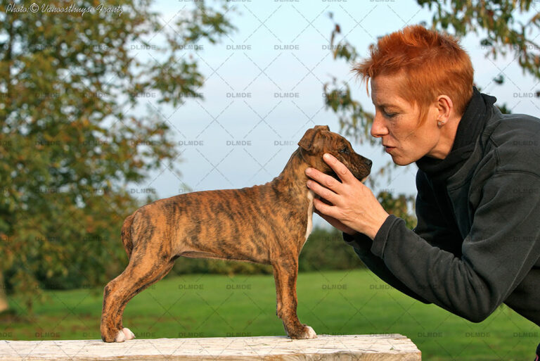 american-staff-lucrece-de-la-maison-deste-1