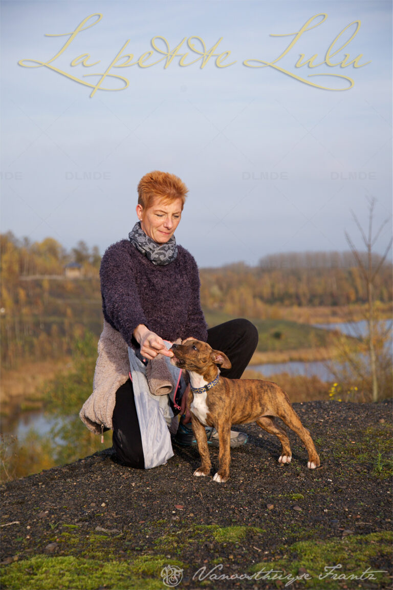 american-staff-lucrece-de-la-maison-deste-19