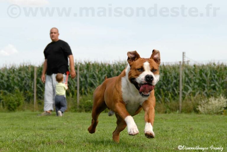 aytor-de-la-maison-deste2