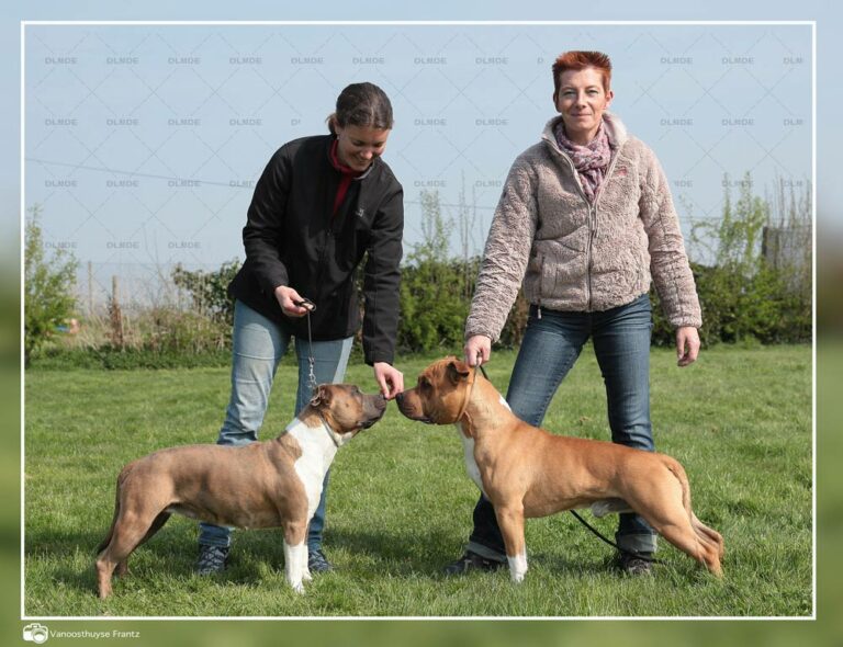 fletcher-boy-et-happy-girl