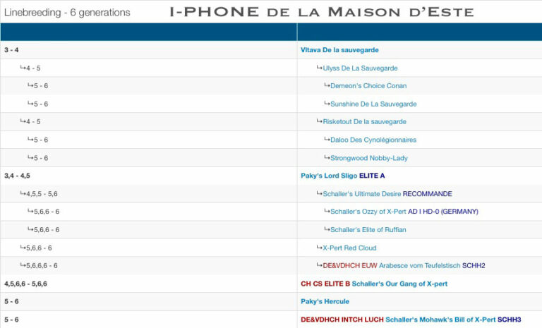 i-phone-6-generations