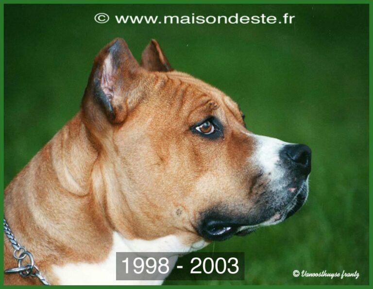 ourgane-presentation