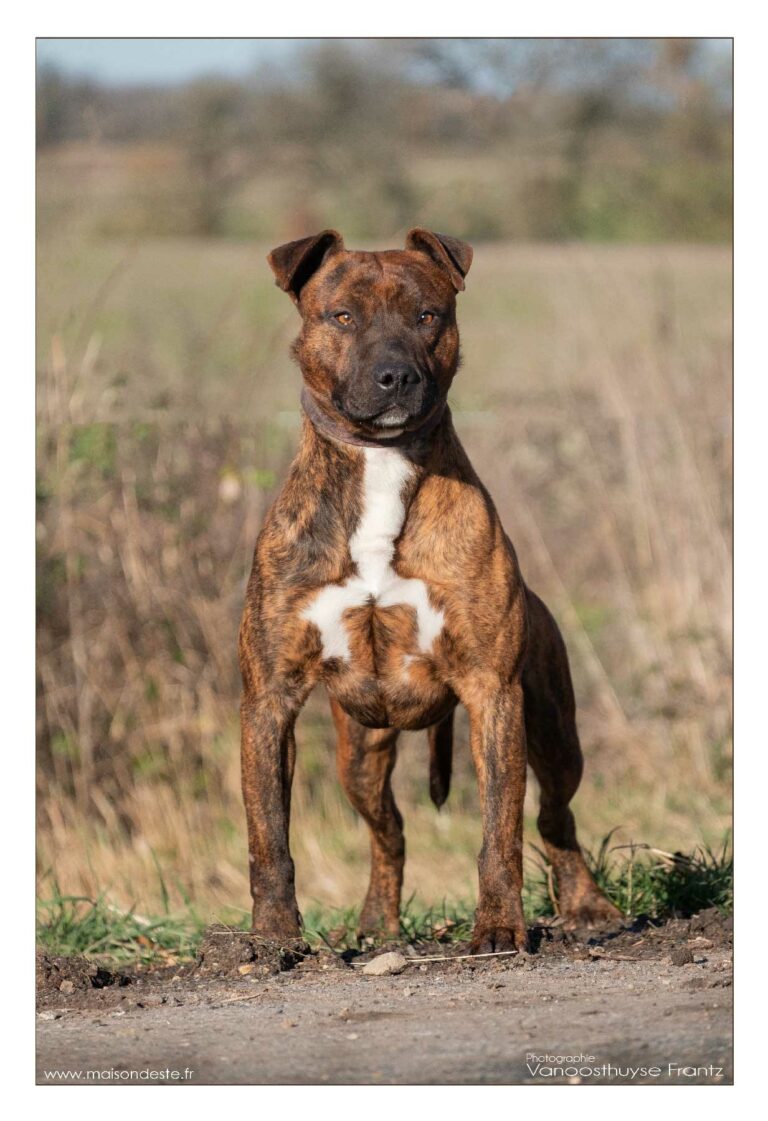 sohcra-web-sohcra-dscf2080