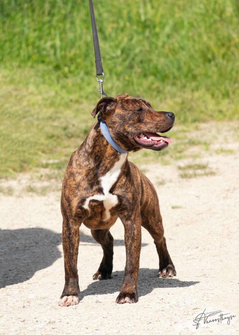 webdscf3594ubba--serca-x-marton