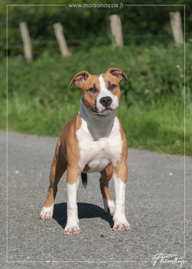 webdscf3650---ulrika---serca-x-marton--8-mois