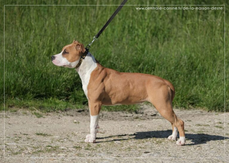 webdscf3708---ulrika---serca-x-marton--8-mois