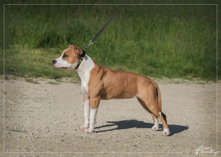 webdscf3727---ulrika---serca-x-marton--8-mois