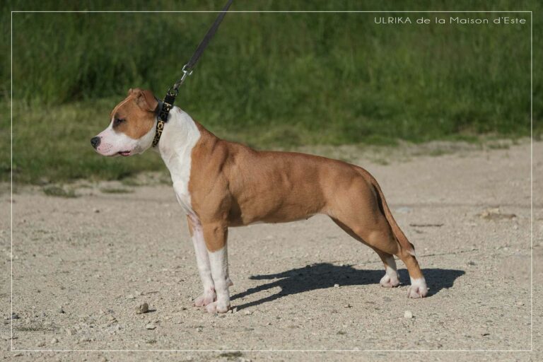 webdscf3743---ulrika---serca-x-marton--8-mois