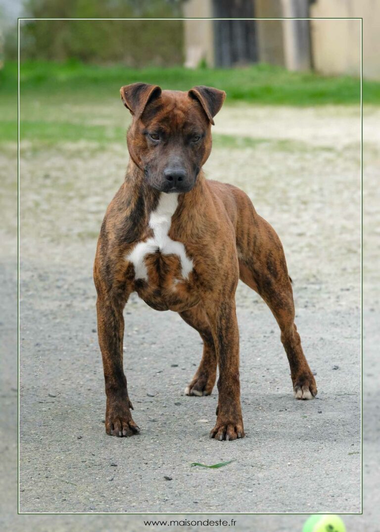 websohcra-03-24--dscf3078