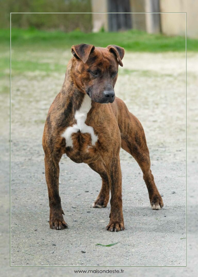 websohcra-03-24--dscf3083