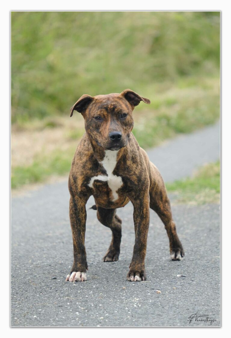 webubba-marton-serca-07-24---dscf5133