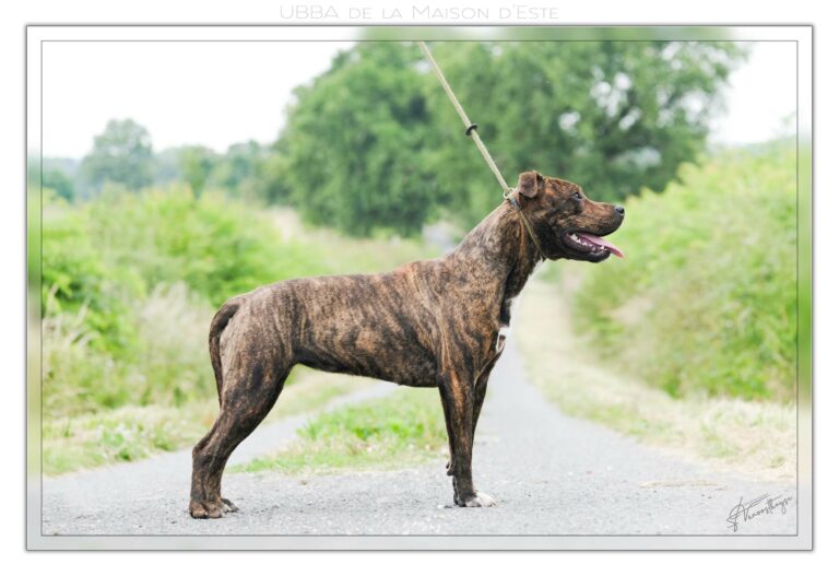 webubba-marton-serca-07-24---dscf5155