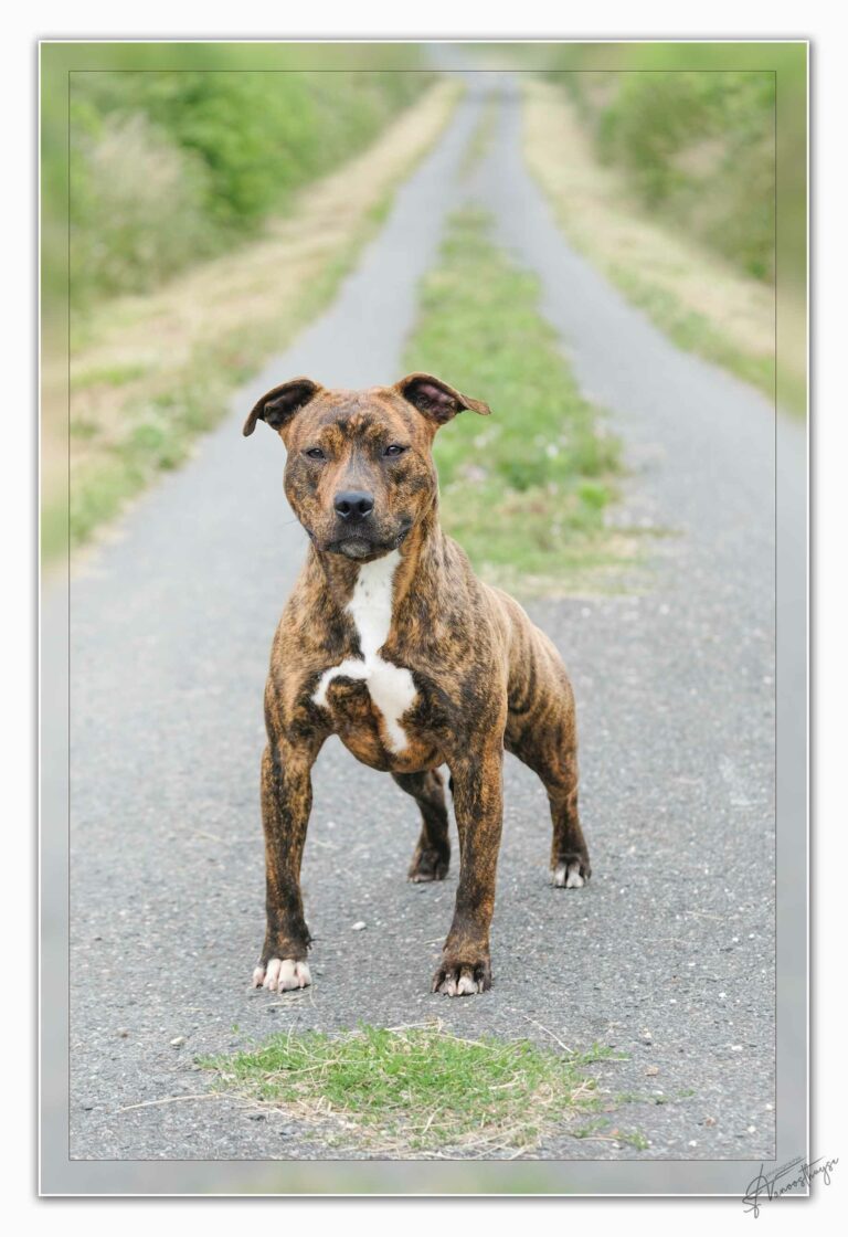 webubba-marton-serca-07-24---dscf5191