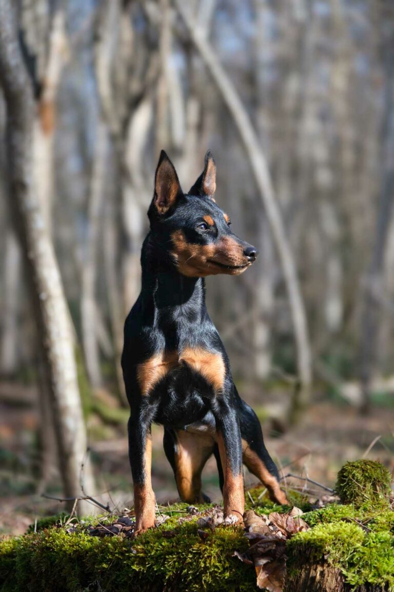 web-Adidas-7-mois-01-2026-DSCF2781