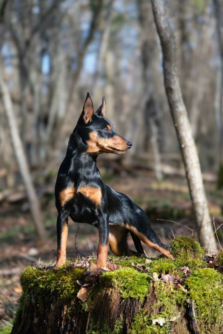 web-Adidas-7-mois-01-2026-DSCF2782