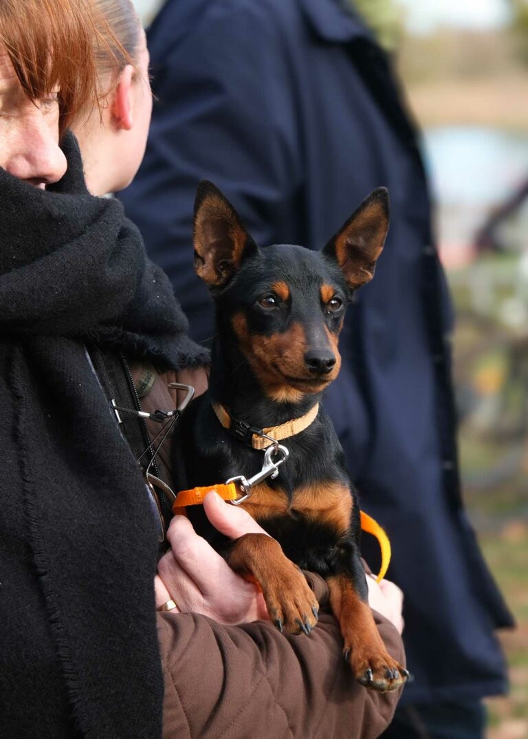 web-Adidas-7-mois-01-2026-DSCF2847