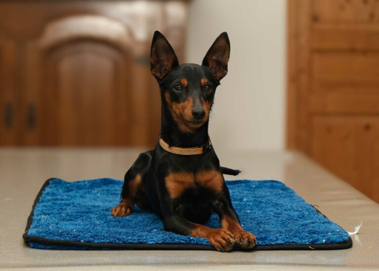 web-Adidas-7-mois-01-2026-DSCF2871