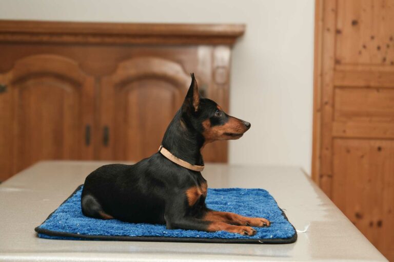 web-Adidas-7-mois-01-2026-DSCF2872