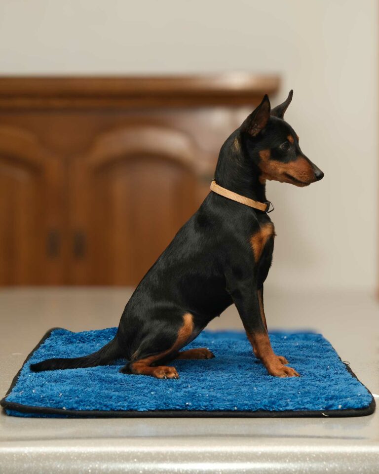 web-Adidas-7-mois-01-2026-DSCF2874