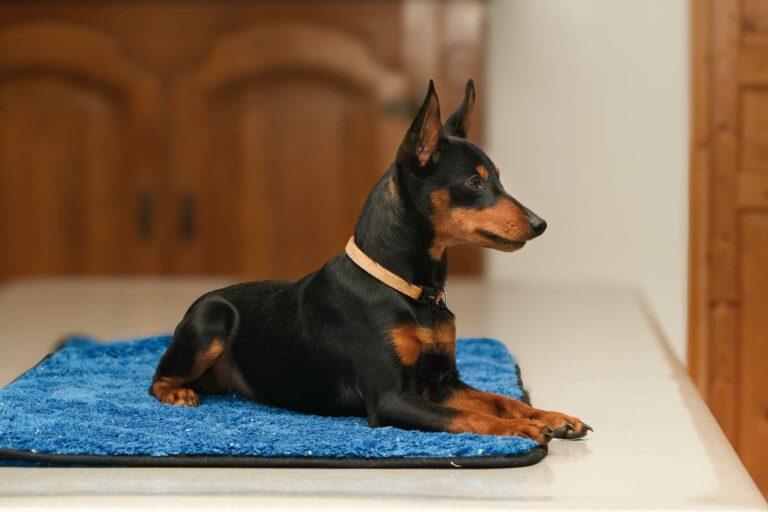 web-Adidas-7-mois-01-2026-DSCF2879