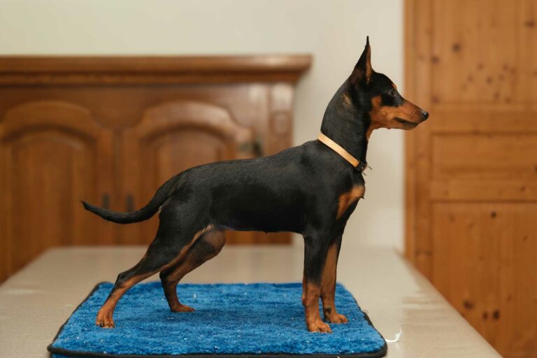 web-Adidas-7-mois-01-2026-DSCF2882