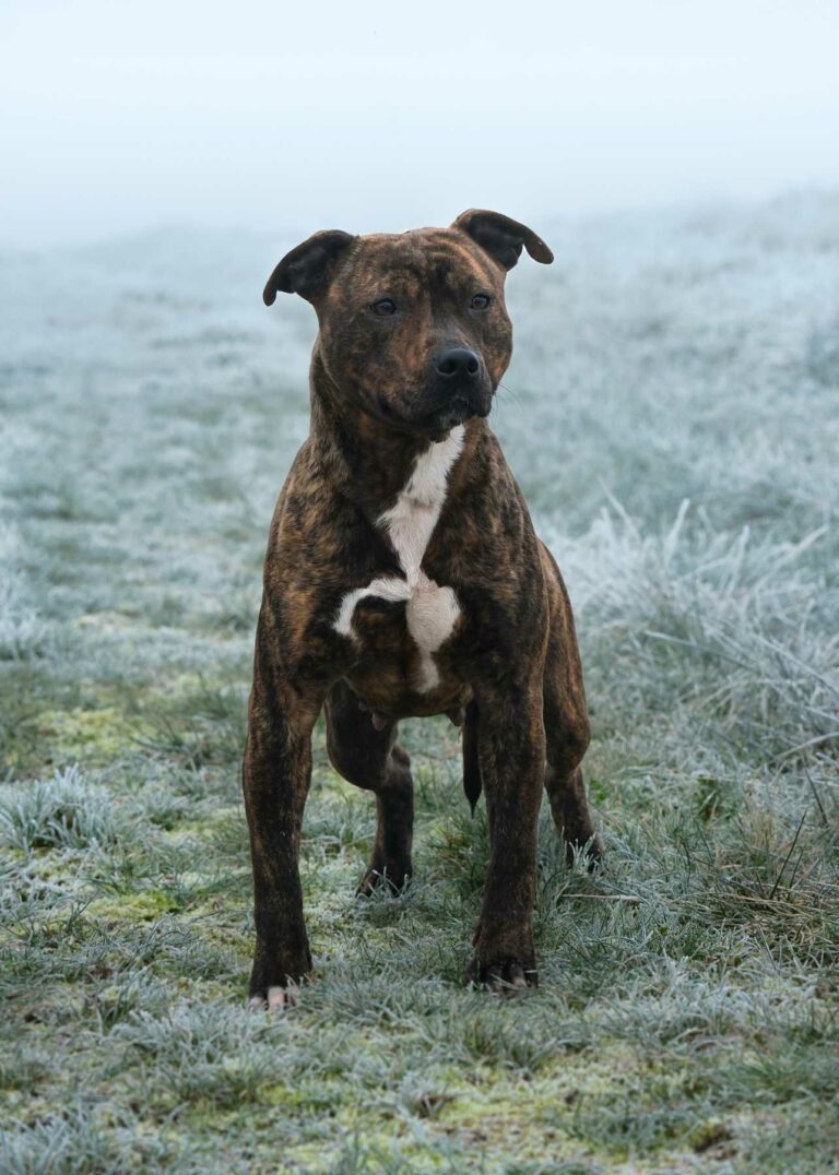 web-ps-lumi-DSCF2646