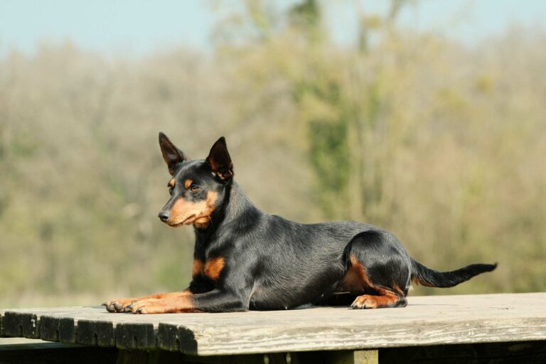 Adidas-9mois-DSCF3851