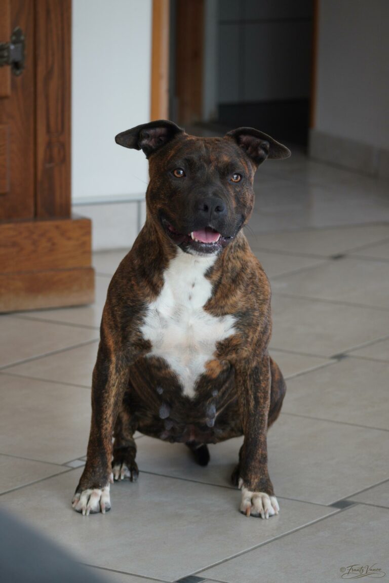 serca-FV_00067