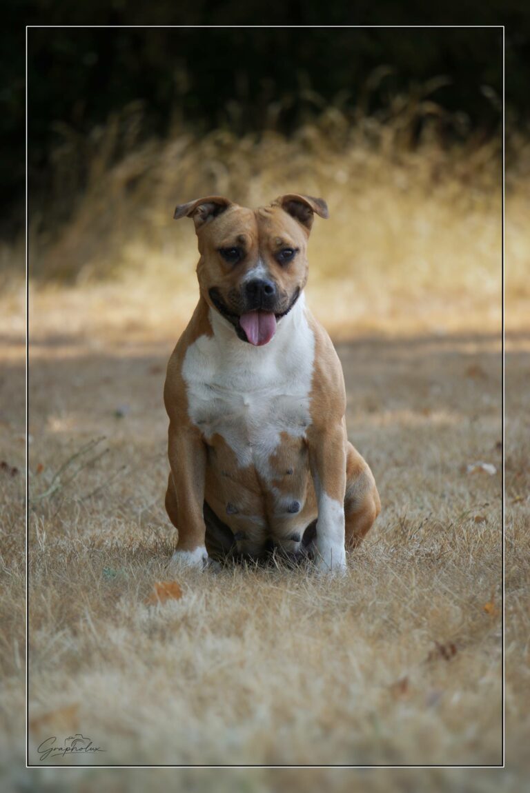 SOLO-DSC00238
