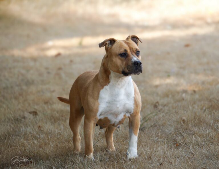 Solo-DSC00227